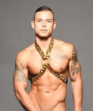 Chains Of Love Harness