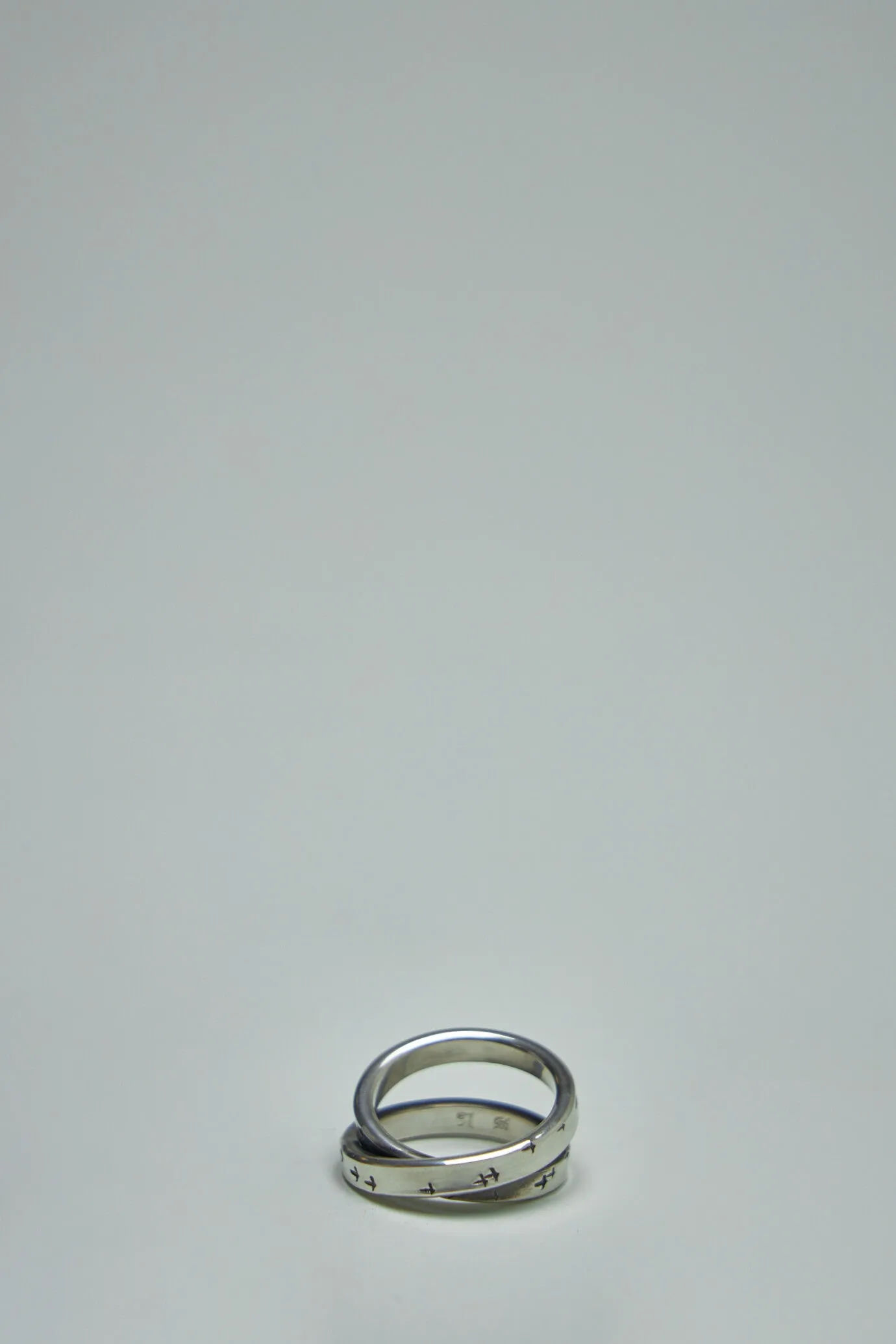 Cross Ring Bird Flight