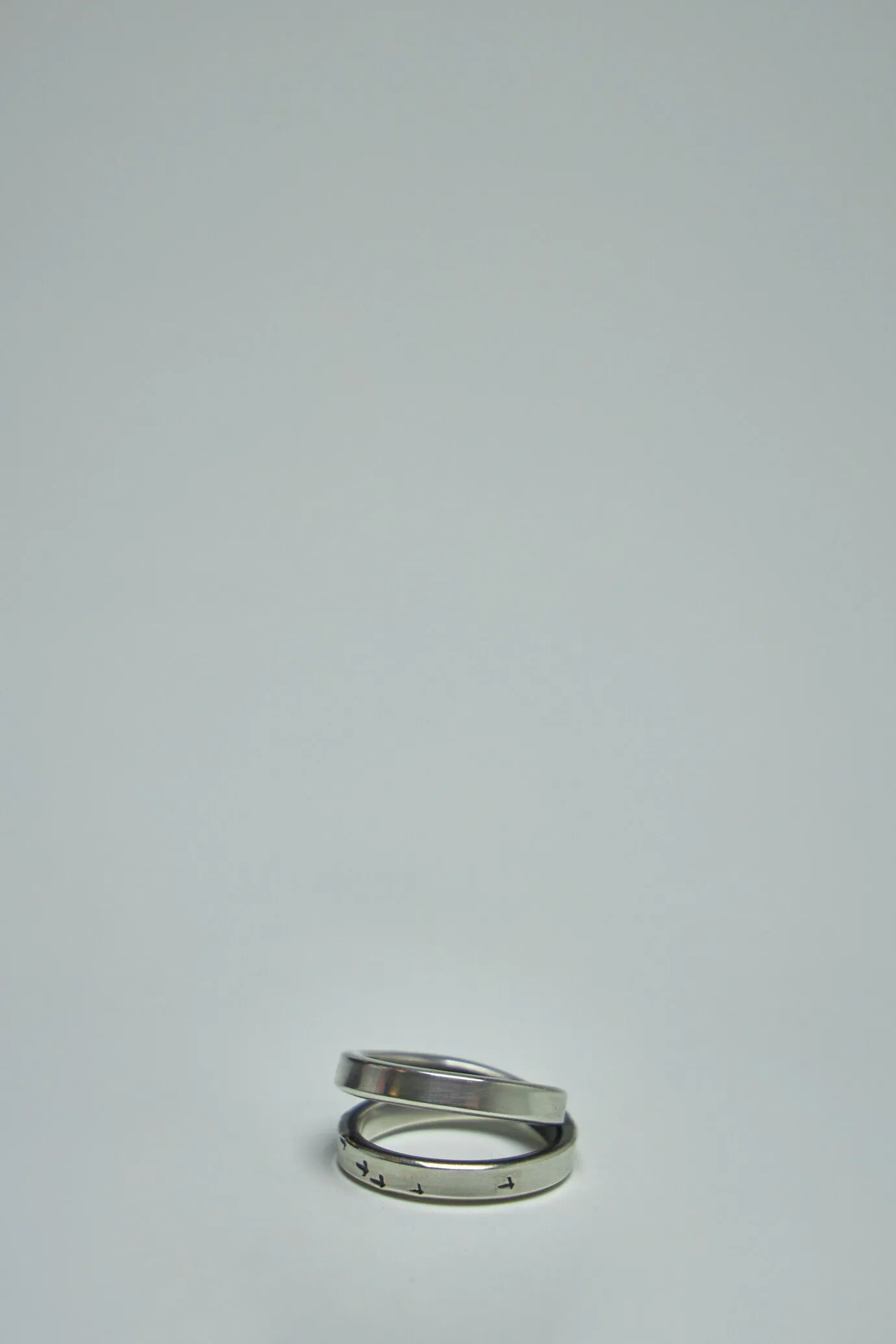 Cross Ring Bird Flight