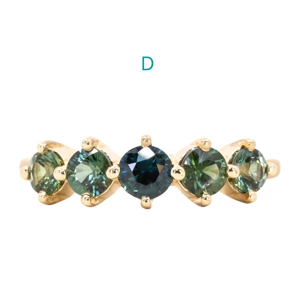 Five Stone Sapphire Bands in 14K and 18k Yellow Gold