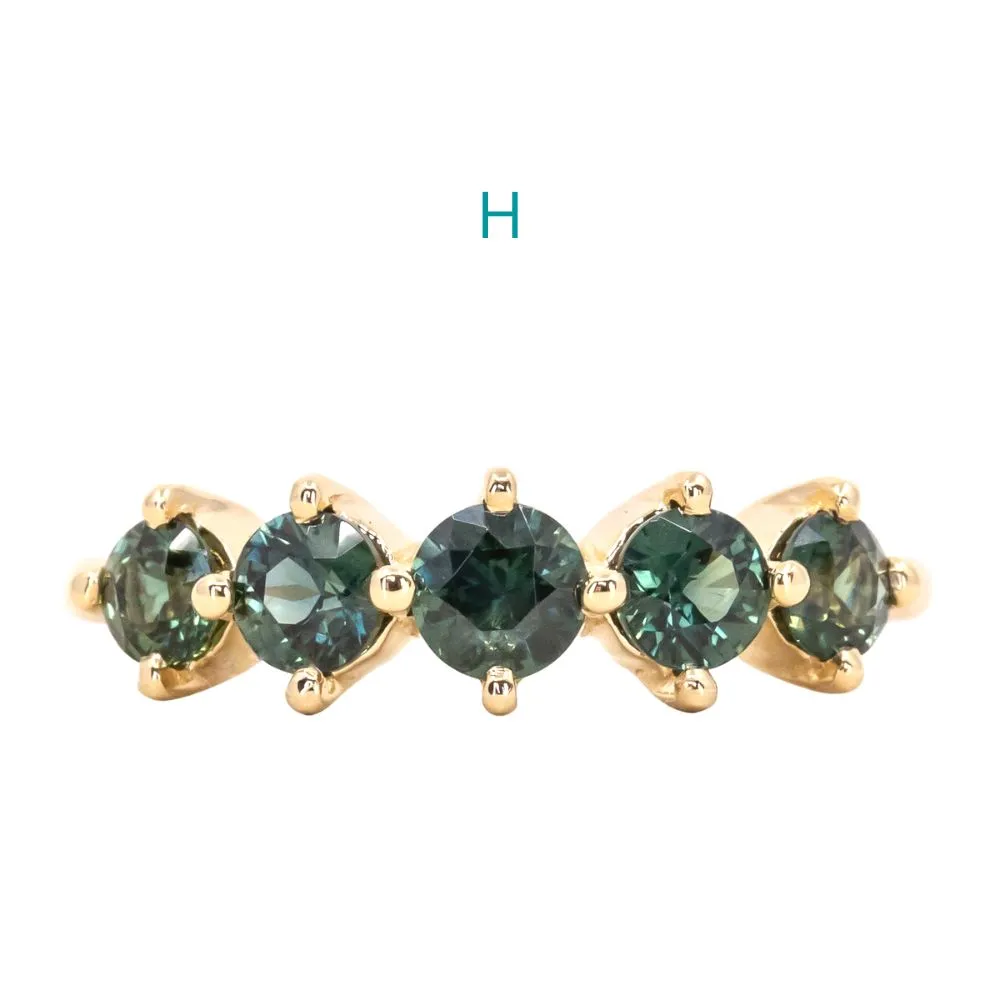 Five Stone Sapphire Bands in 14K and 18k Yellow Gold