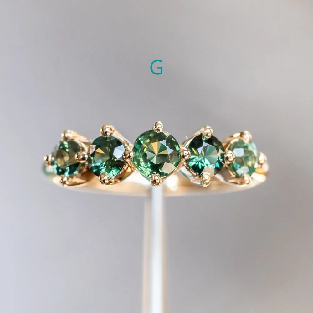 Five Stone Sapphire Bands in 14K and 18k Yellow Gold