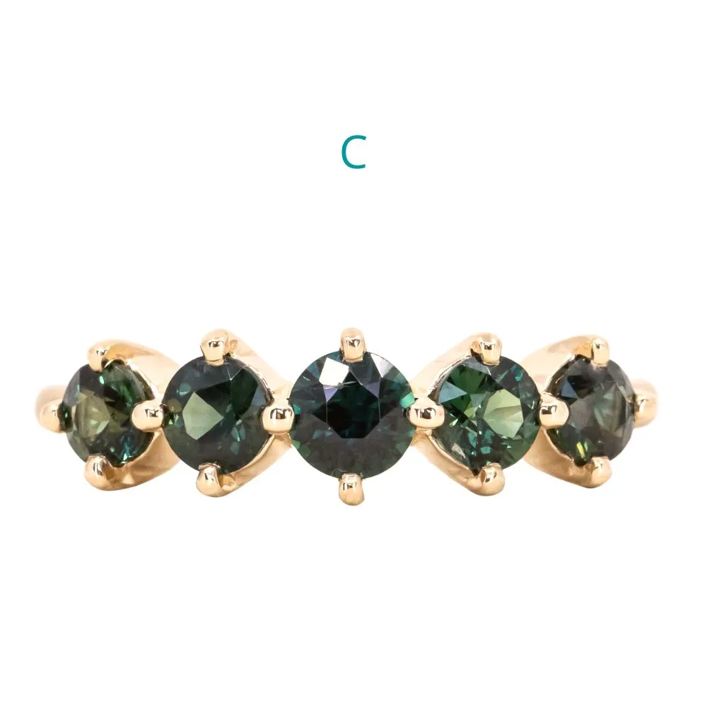Five Stone Sapphire Bands in 14K and 18k Yellow Gold