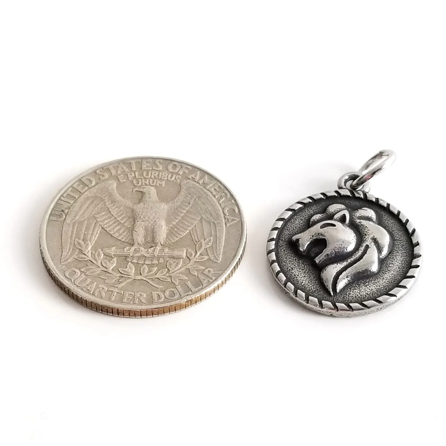 Stainless Steel Zodiac Pendants, Astrological Signs Set of 12, 3/4 inch diameter